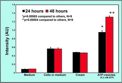 Enhanced Skin Incisional Wound Healing With Intracellular ATP Delivery via Macrophage Proliferation and Direct Collagen Production